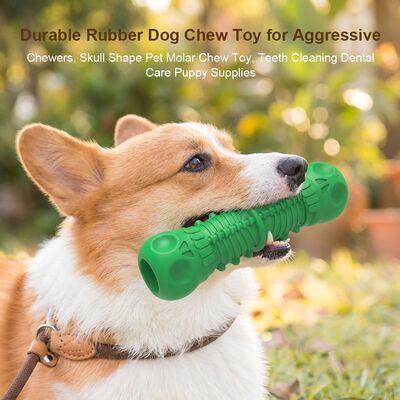 Mua Đồ chơi xương cao su tự nhiên cho chó, đồ chơi que hình xương bằng silicone cho thú cưng, đồ chơi nhai cho răng, chăm sóc răng miệng, đồ dùng cho chó con online manufacture